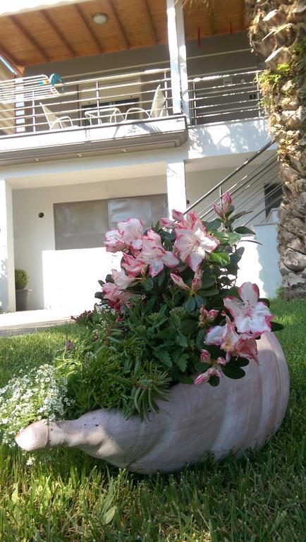 Aimilias Family Apartments Βρασνά Εξωτερικό φωτογραφία